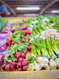Fresh Home Grown Green Onions