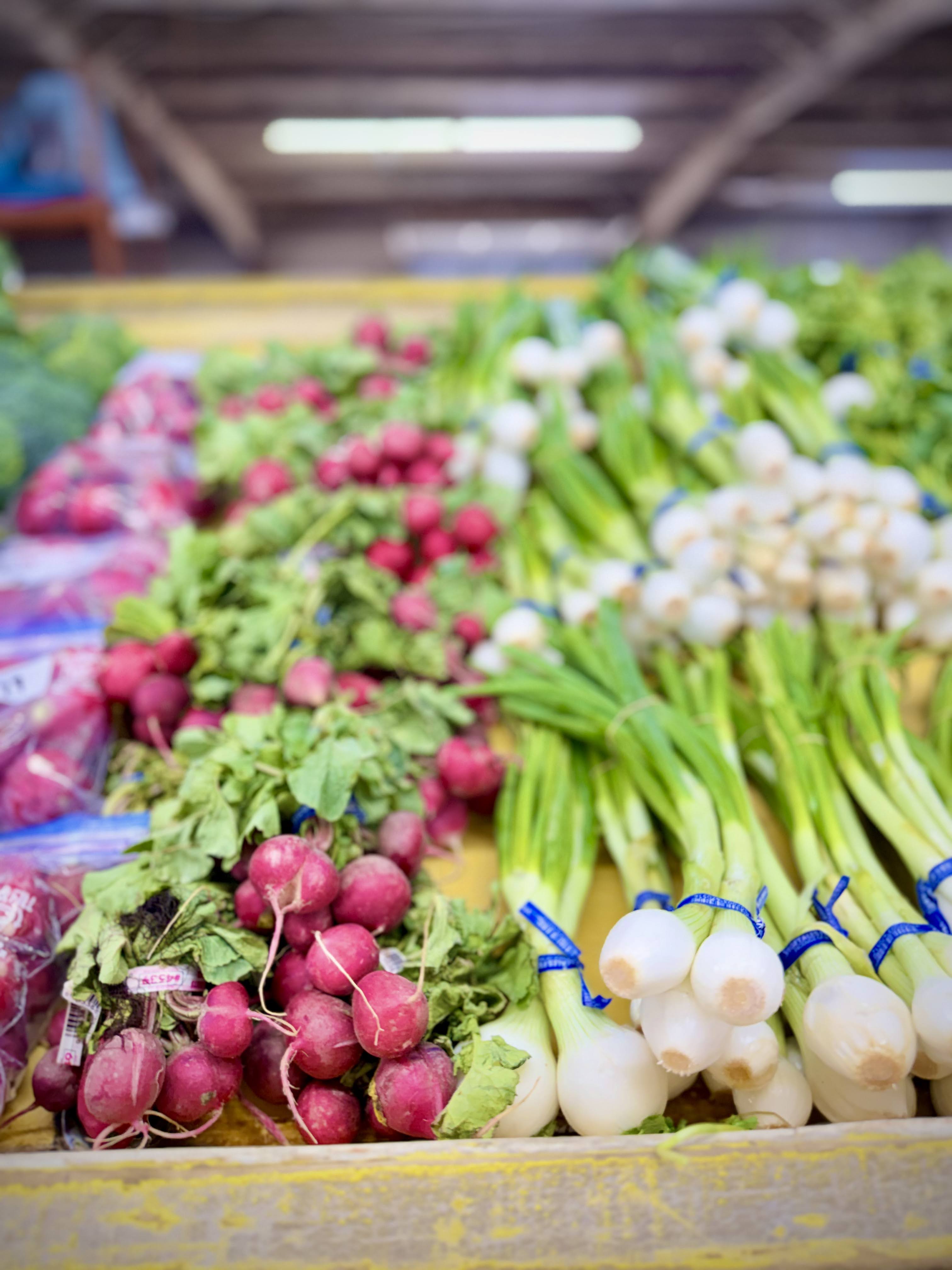 Fresh Home Grown Radishes and Green Onions