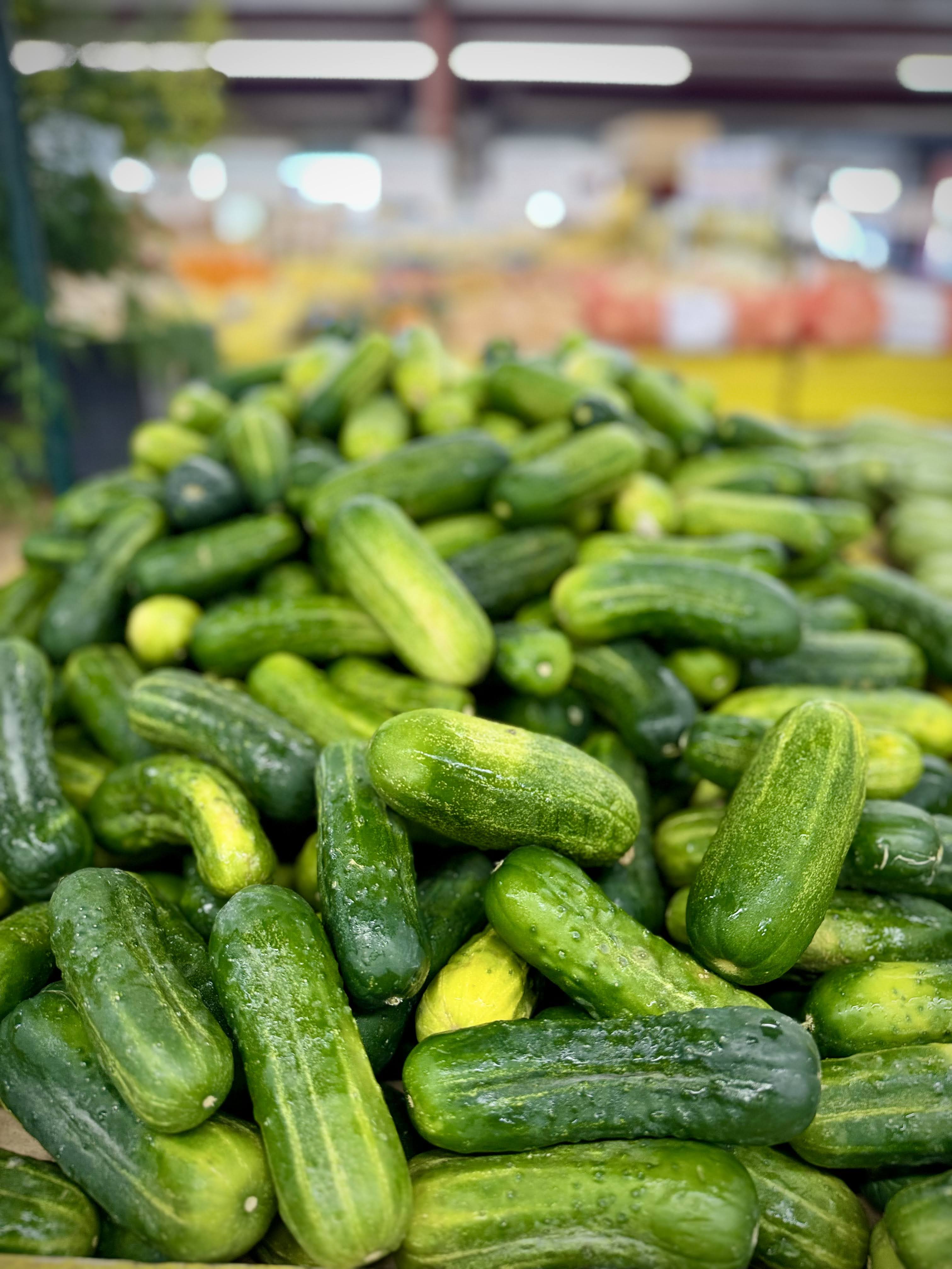Fresh Cucumbers