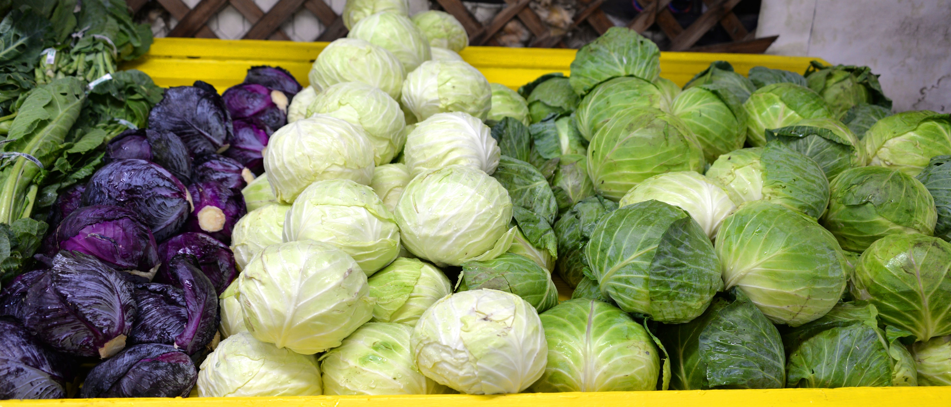 Fresh Home Grown Cabbage