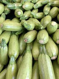 Fresh Home Grown Calabacita Squash