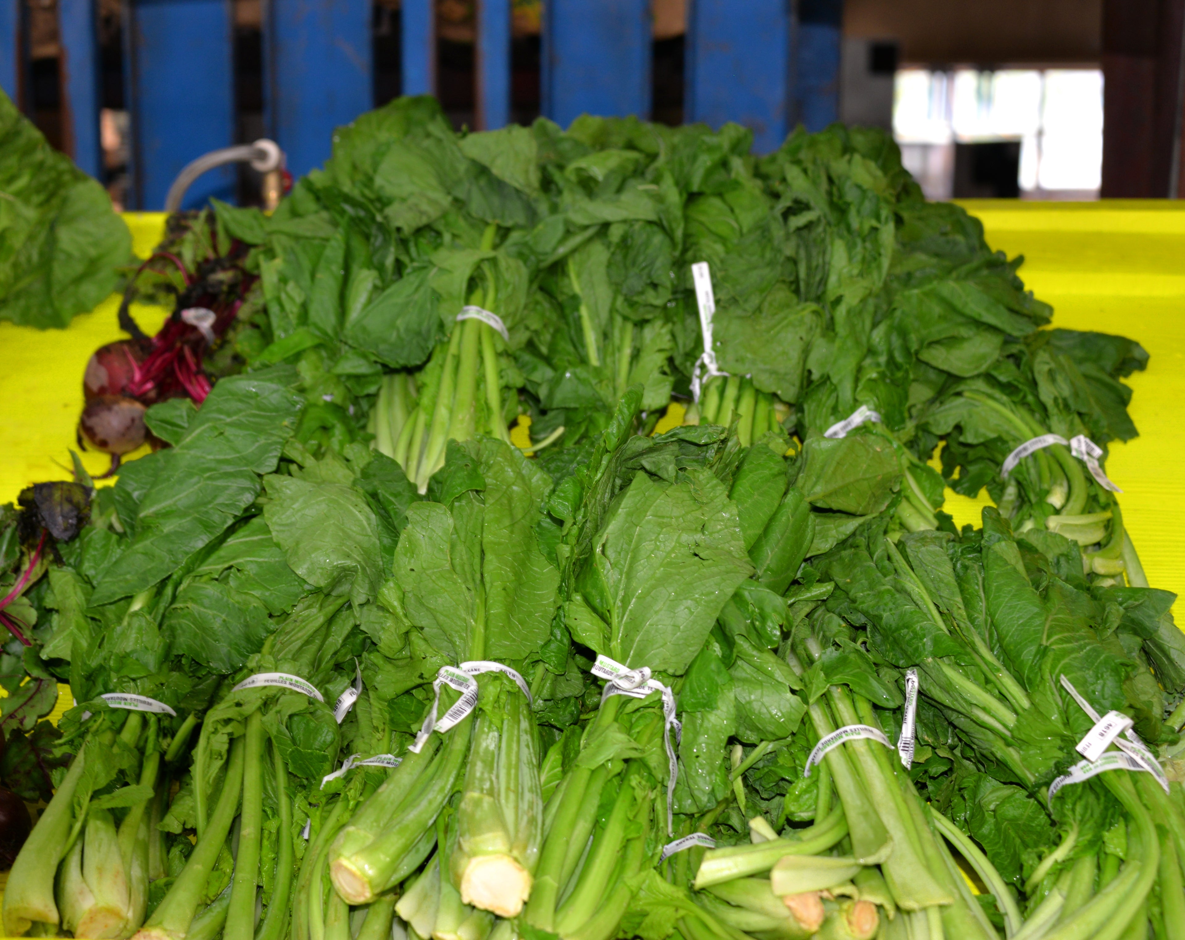 Fresh Home Grown Greens