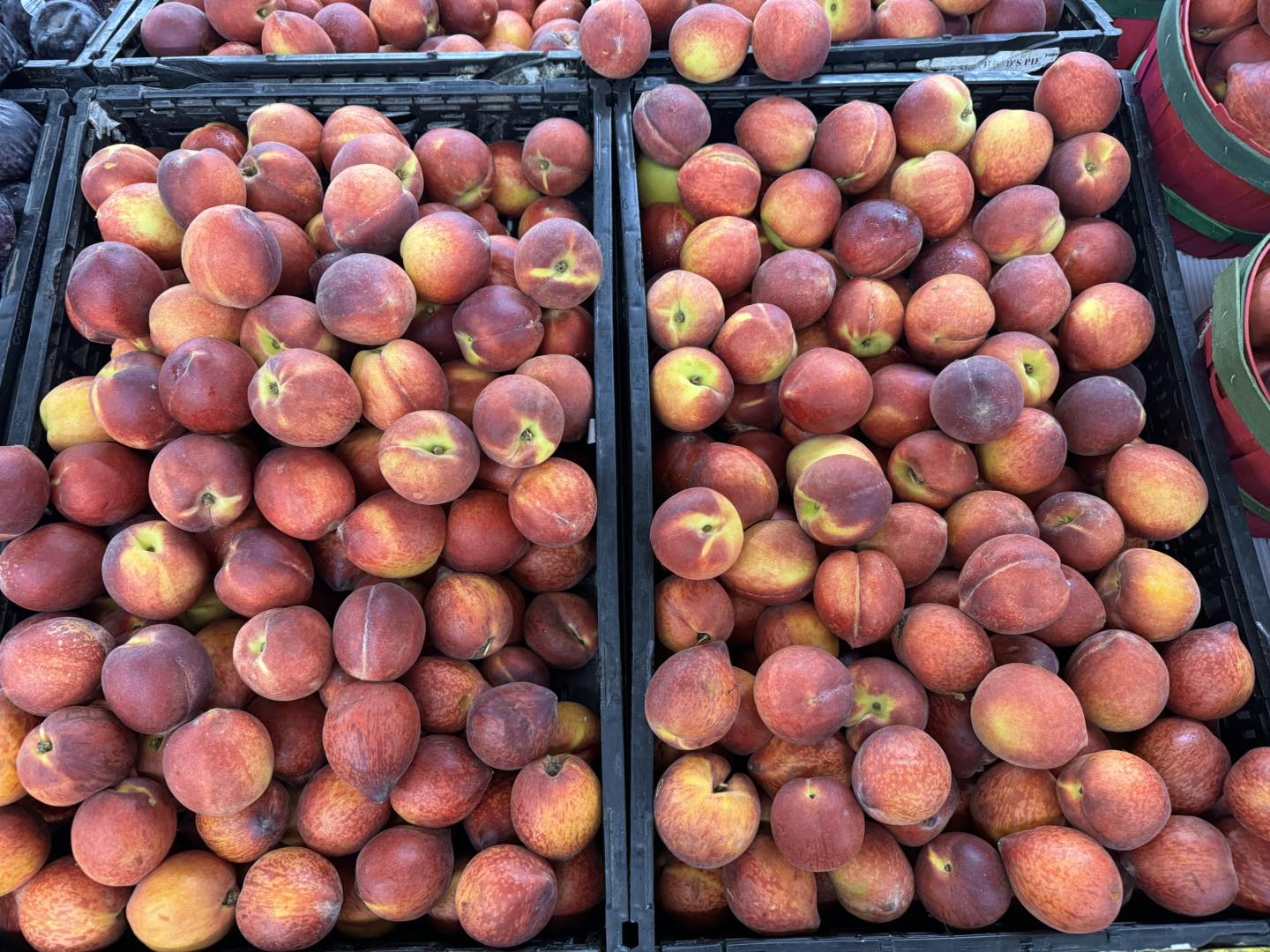 Fredericksburg Peaches