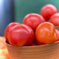 Fresh Home Grown Tomatoes