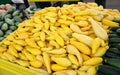 Fresh Home Grown Yellow Squash