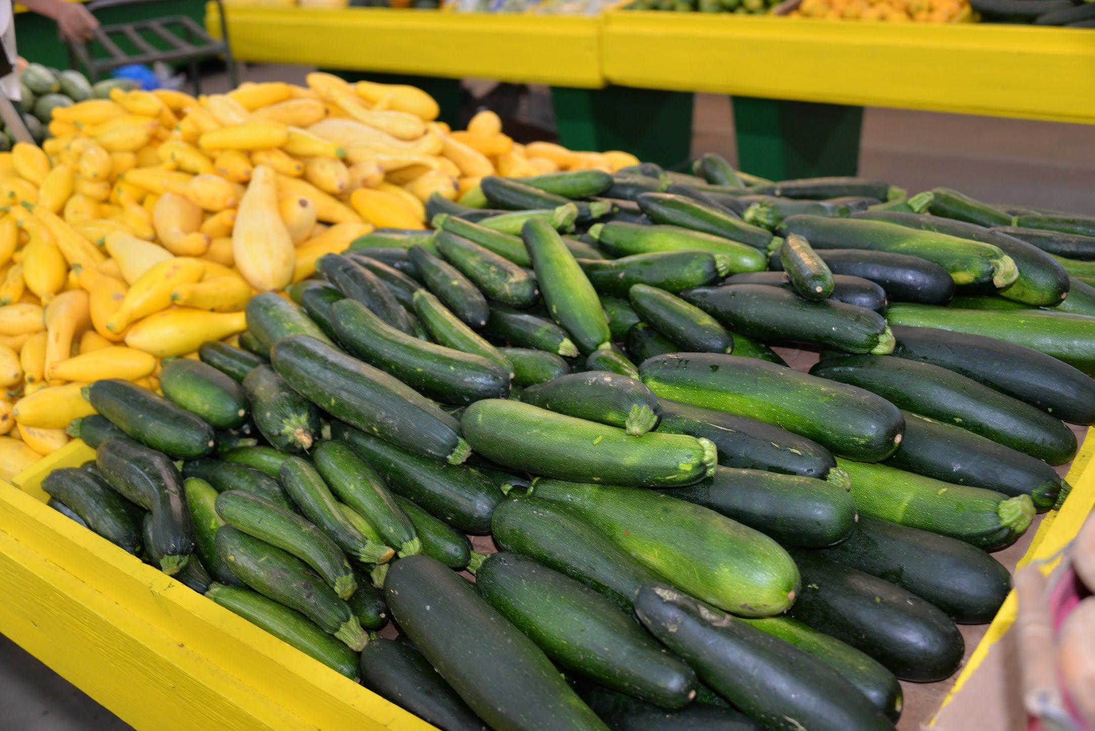 Fresh Home Grown Zucchini Squash